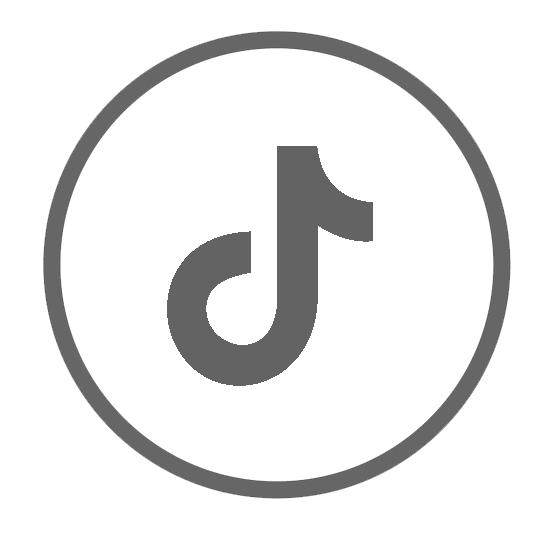 TikTok icon